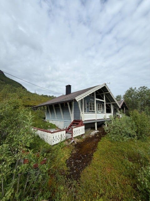 Bilde 1 av annonsen