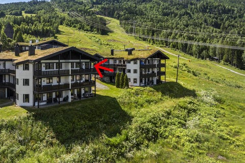 Bilde 1 av annonsen