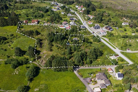 Bilde 1 av annonsen