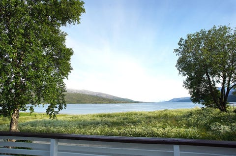 Bilde 2 av annonsen
