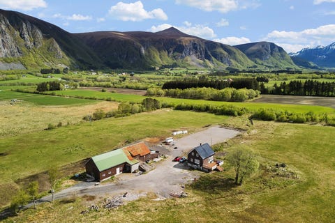 Bilde 1 av annonsen