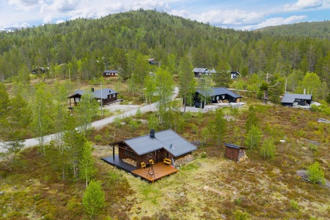 Bilde 1 av annonsen