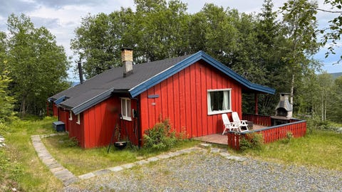 Bilde 1 av annonsen