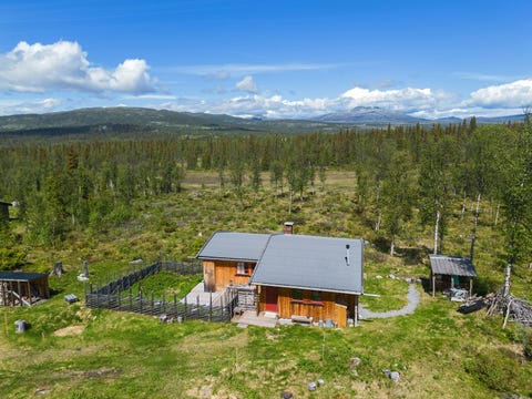 Bilde 1 av annonsen