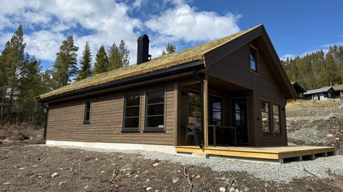 Bilde 1 av annonsen