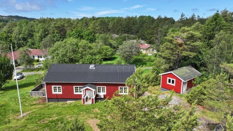 Bilde 1 av annonsen