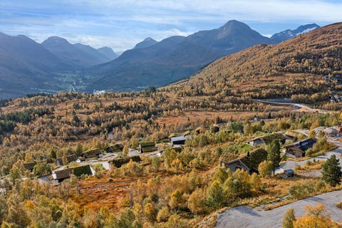 Bilde 2 av annonsen