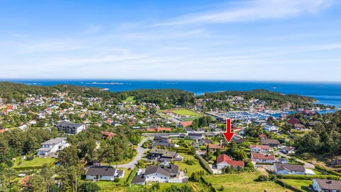 Bilde 1 av annonsen