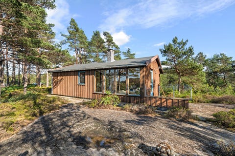 Bilde 1 av annonsen