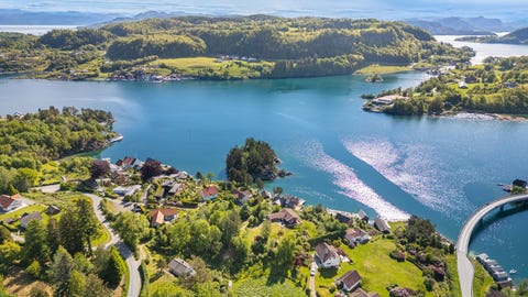 Bilde 2 av annonsen