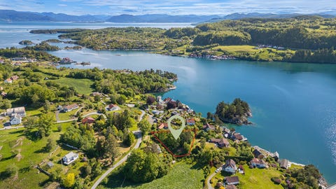 Bilde 1 av annonsen