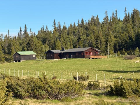 Bilde 1 av annonsen