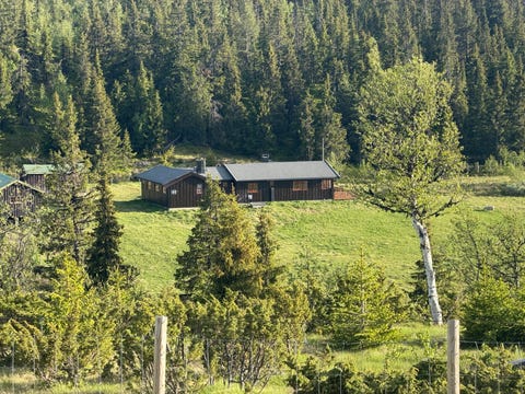 Bilde 2 av annonsen