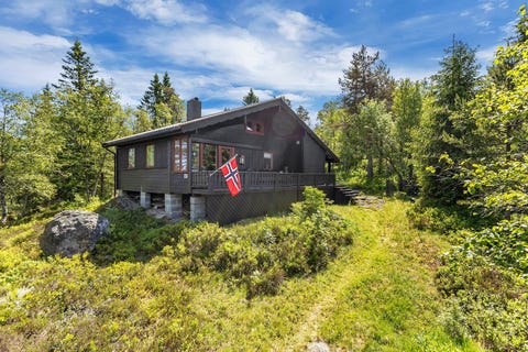 Bilde 1 av annonsen