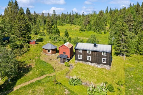 Bilde 1 av annonsen