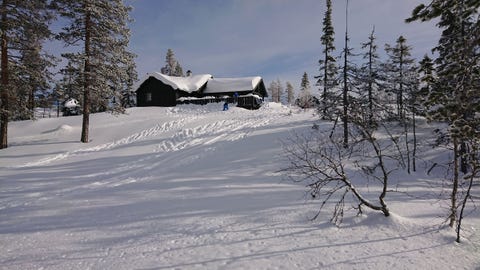 Bilde 2 av annonsen