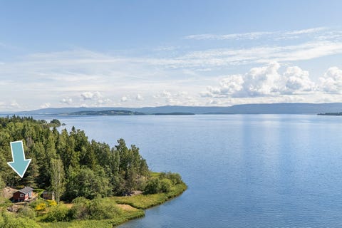 Bilde 1 av annonsen