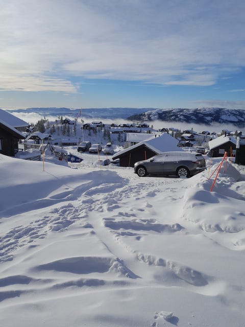 Bilde 2 av annonsen