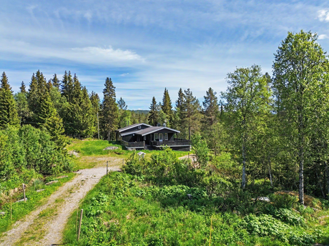 Bilde 1 av annonsen