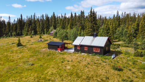 Bilde 1 av annonsen