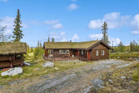 Bilde 2 av annonsen