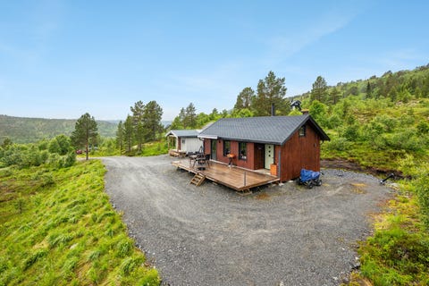 Bilde 1 av annonsen