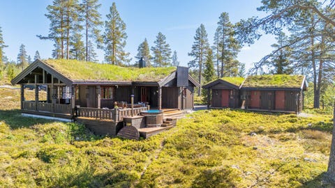 Bilde 1 av annonsen