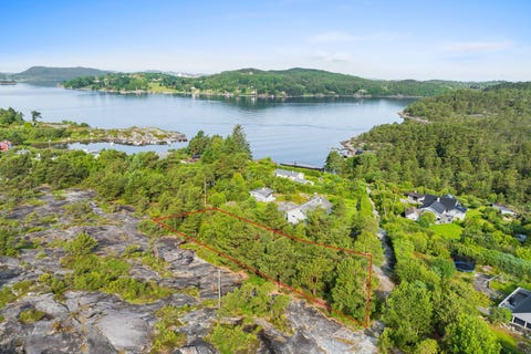 Bilde 1 av annonsen