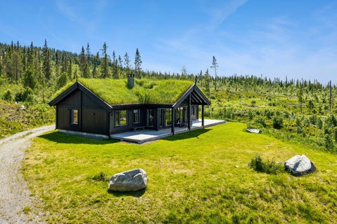 Bilde 2 av annonsen