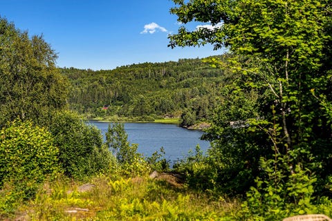 Bilde 2 av annonsen