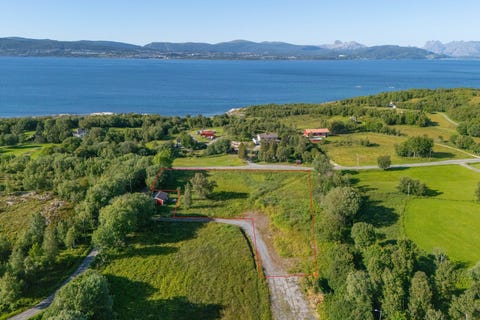 Bilde 1 av annonsen