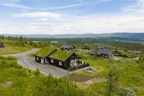 Bilde 2 av annonsen