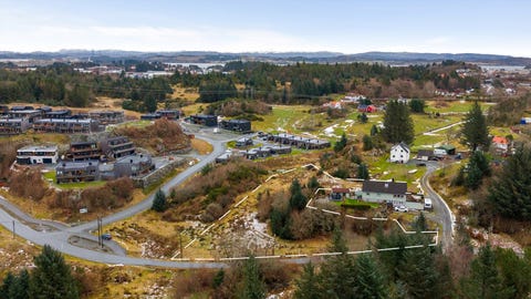 Bilde 2 av annonsen