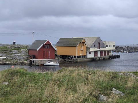 Bilde 2 av annonsen
