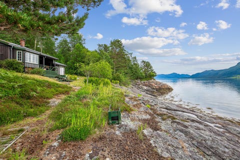 Bilde 1 av annonsen
