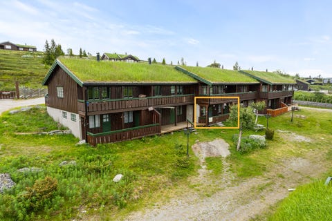 Bilde 1 av annonsen