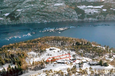 Bilde 1 av annonsen