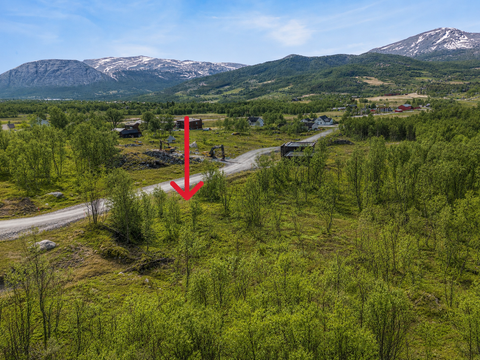 Bilde 1 av annonsen
