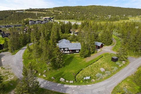 Bilde 1 av annonsen