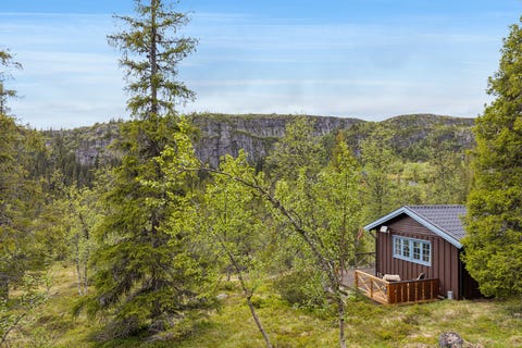 Bilde 1 av annonsen