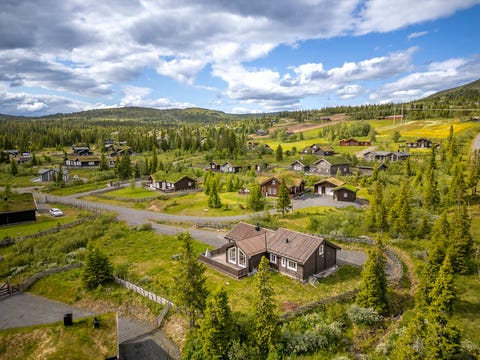 Bilde 2 av annonsen