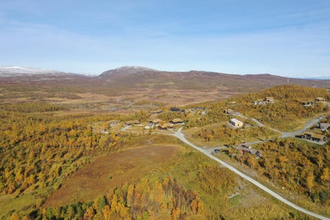 Bilde 2 av annonsen