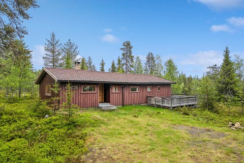 Bilde 1 av annonsen