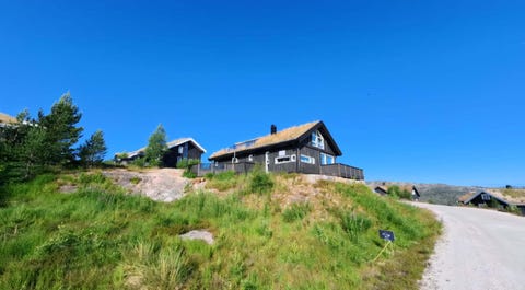 Bilde 1 av annonsen