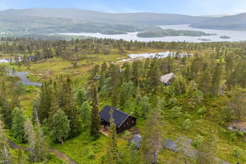 Bilde 1 av annonsen