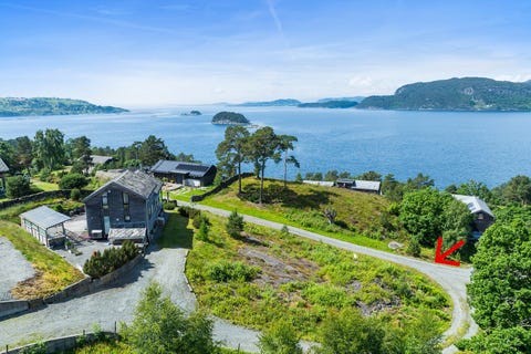 Bilde 1 av annonsen