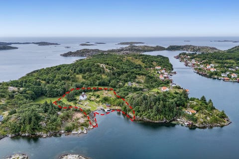 Bilde 2 av annonsen