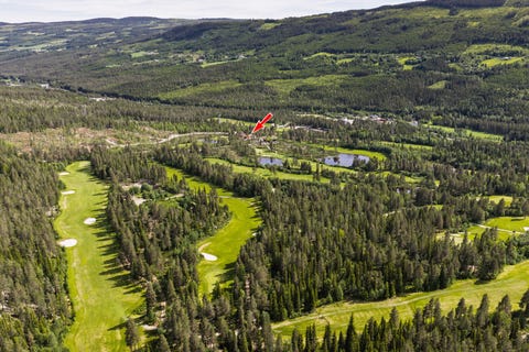Bilde 2 av annonsen