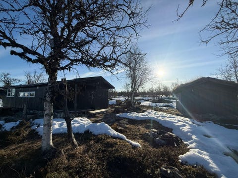Bilde 1 av annonsen