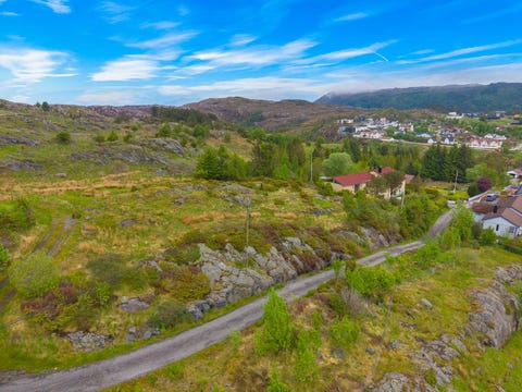 Bilde 2 av annonsen